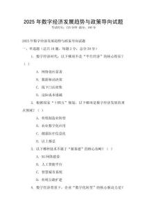 2025年數(shù)字經(jīng)濟(jì)發(fā)展趨勢與政策導(dǎo)向試題