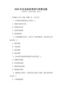 2025年企業(yè)財(cái)務(wù)管理與預(yù)算試題