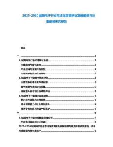 2025-2030城陽電子行業市場深度調研及發展前景與投資前景研究報告