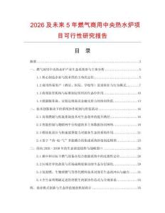 2026及未來5年燃氣商用中央熱水爐項目可行性研究報告