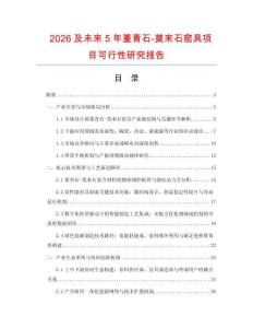 2026及未來5年堇青石-莫來石窯具項目可行性研究報告