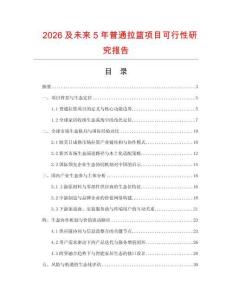 2026及未來5年普通拉籃項目可行性研究報告
