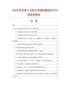 2026及未來5年貼片電感線圈項目可行性研究報告