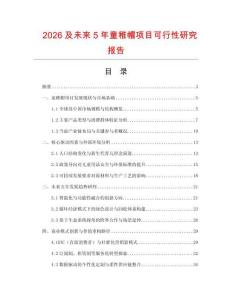2026及未來(lái)5年童稚帽項(xiàng)目可行性研究報(bào)告