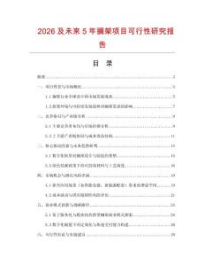 2026及未來5年擱架項目可行性研究報告