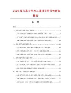2026及未來(lái)5年水斗液項(xiàng)目可行性研究報(bào)告