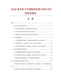 2026及未來5年硅膠奶油刮刀項目可行性研究報告