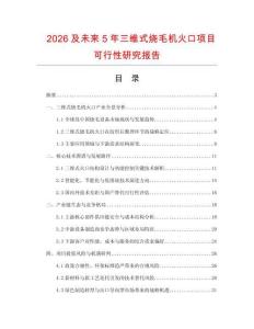 2026及未來5年三維式燒毛機火口項目可行性研究報告