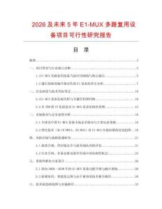 2026及未來5年E1-MUX多路復用設備項目可行性研究報告