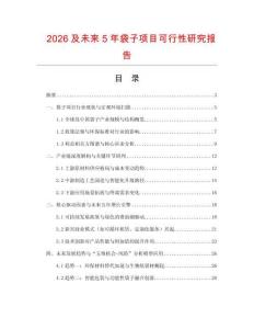 2026及未來5年袋子項目可行性研究報告