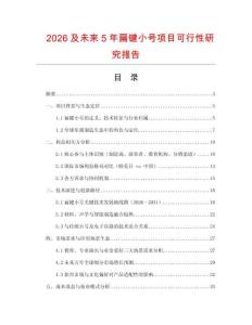 2026及未來5年扁鍵小號項目可行性研究報告