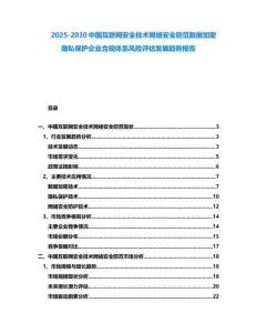 2025-2030中國(guó)互聯(lián)網(wǎng)安全技術(shù)網(wǎng)絡(luò)安全防范數(shù)據(jù)加密隱私保護(hù)企業(yè)合規(guī)體系風(fēng)險(xiǎn)評(píng)估發(fā)展趨勢(shì)報(bào)告