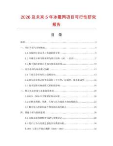 2026及未來5年冰雹網項目可行性研究報告