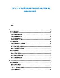 2025-2030專業咨詢服務行業市場競爭與客戶需求分析發展決策研究報告