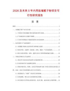 2026及未來5年內(nèi)用批墻膩子粉項目可行性研究報告