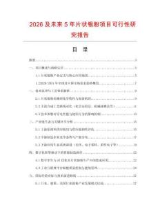 2026及未來5年片狀銀粉項目可行性研究報告