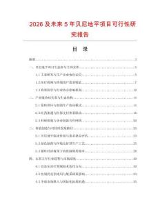 2026及未來5年貝尼地平項目可行性研究報告