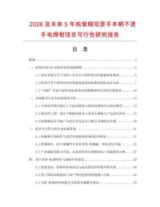 2026及未來5年純紫銅雙層手本柄不燙手電焊鉗項目可行性研究報告