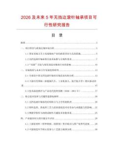 2026及未來5年無擋邊滾針軸承項目可行性研究報告