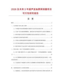 2026及未來5年超聲波魚群探測器項目可行性研究報告