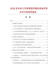 2026及未來5年砂漿型環(huán)氧自流地坪項目可行性研究報告