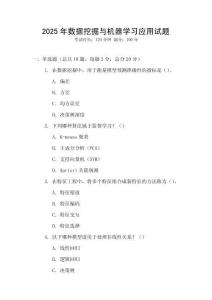 2025年数据挖掘与机器学习应用试题