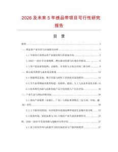 2026及未來5年繡品帶項目可行性研究報告
