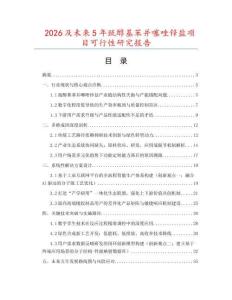 2026及未來5年巰醇基苯并噻唑鋅鹽項目可行性研究報告