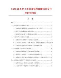 2026及未來5年自身預熱燒嘴項目可行性研究報告