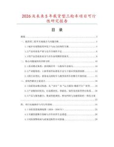 2026及未來5年載貨型三輪車項(xiàng)目可行性研究報(bào)告