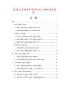 2026及未來5年餐碟項目可行性研究報告