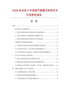 2026及未來5年棕刷氣鼓磨光機項目可行性研究報告