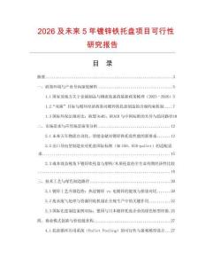 2026及未來5年鍍鋅鐵托盤項(xiàng)目可行性研究報(bào)告