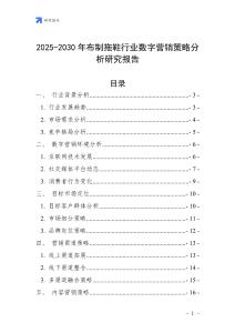 2025-2030年布制拖鞋行業(yè)數(shù)字營銷策略分析研究報告