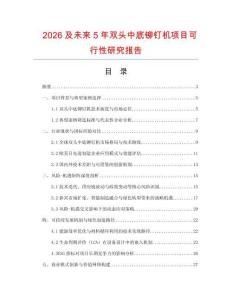 2026及未來5年雙頭中底鉚釘機項目可行性研究報告