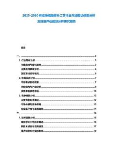 2025-2030橋梁伸縮縫修補(bǔ)工藝行業(yè)市場(chǎng)現(xiàn)狀供需分析及投資評(píng)估規(guī)劃分析研究報(bào)告