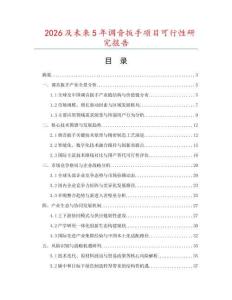 2026及未來5年調(diào)音扳手項目可行性研究報告