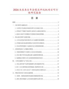 2026及未來5年雜型石開坑機項目可行性研究報告