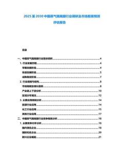 2025至2030中國(guó)蒸氣隔離膜行業(yè)調(diào)研及市場(chǎng)前景預(yù)測(cè)評(píng)估報(bào)告