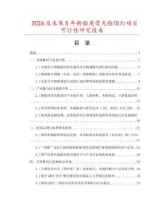 2026及未來5年艦船用熒光艙頂燈項目可行性研究報告