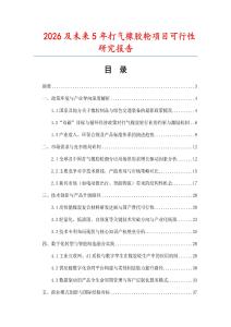 2026及未來5年打氣橡膠輪項目可行性研究報告