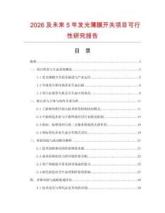 2026及未來5年發光薄膜開關項目可行性研究報告