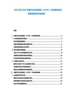 2025至2030中國汽車全景監控（AVM）行業調研及市場前景預測評估報告