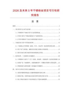 2026及未來5年不銹鐵絲項目可行性研究報告
