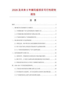 2026及未來5年御風板項目可行性研究報告