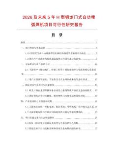 2026及未來5年H型鋼龍門式自動埋弧焊機(jī)項(xiàng)目可行性研究報告