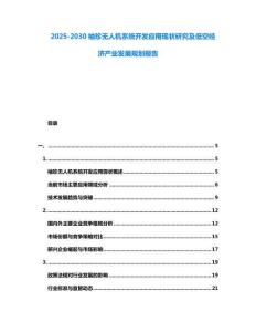 2025-2030袖珍無(wú)人機(jī)系統(tǒng)開(kāi)發(fā)應(yīng)用現(xiàn)狀研究及低空經(jīng)濟(jì)產(chǎn)業(yè)發(fā)展規(guī)劃報(bào)告