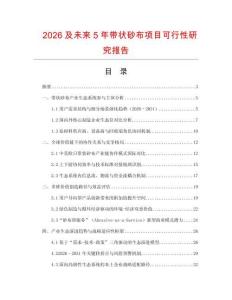 2026及未來(lái)5年帶狀砂布項(xiàng)目可行性研究報(bào)告