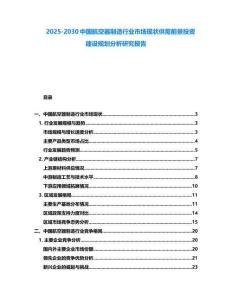 2025-2030中國航空器制造行業市場現狀供需前景投資建設規劃分析研究報告