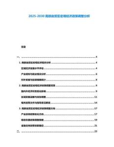 2025-2030南部自貿區宏觀經濟政策調整分析